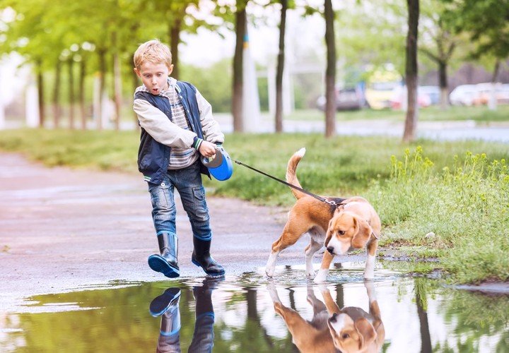 Participar de los paseos del perro es una actividad que refuerza la sociabilidad de los mas chiquitos.